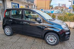 Fiat Panda 1.2 EasyPower Easy GPL