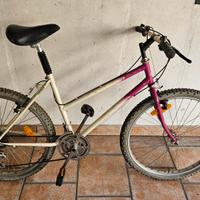 Bici mtb