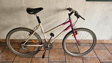 Bici mtb