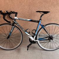 Bici da corsa