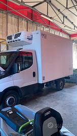iveco Daily 35s14 isotermico  -20°