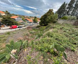 Terreno recintato 1000 metri quadrati