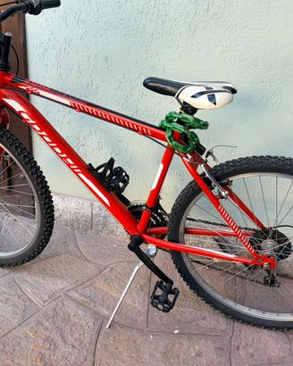 Mountainbike Velomarche