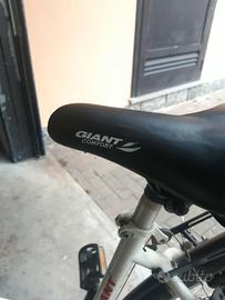 bicicletta donna