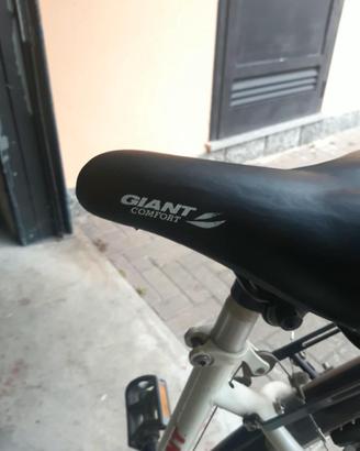 bicicletta donna