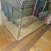 Gabbia con fondo in vetro