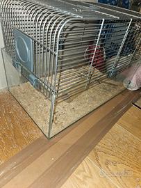 Gabbia con fondo in vetro