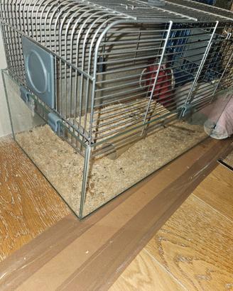 Gabbia con fondo in vetro