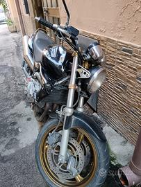 Honda hornet 600
