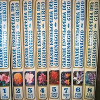 Giardinaggio grande enciclopedia del giardinaggio