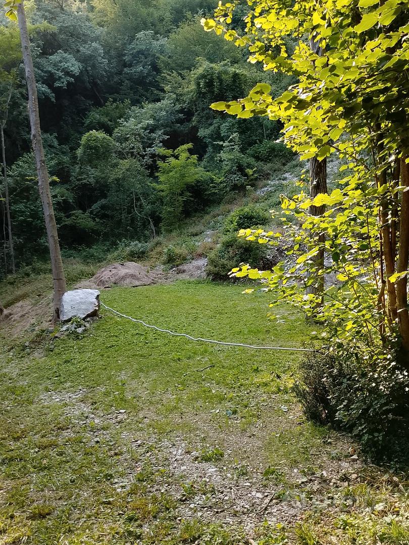 Il Prato nel bosco - Altro