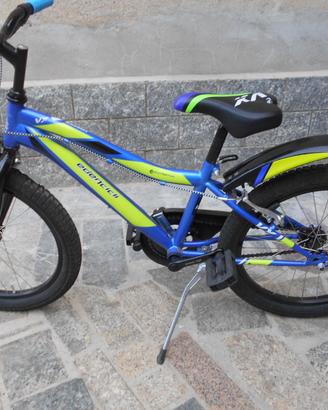 bicicletta MTB bambino