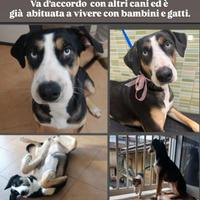 Zoe 3 anni
