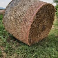 Consegna Erba medica, Foraggio e Paglia 