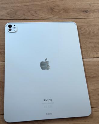 iPad Pro 13” M4 512gb