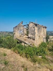 Terreno agricolo della superficie di 4 ettari,