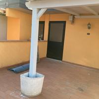 Tettoia con vasi per non forare 5x3