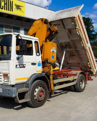 Camion Renault Midliner M210