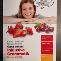 Inklusive grammatik niveau A2/B2
