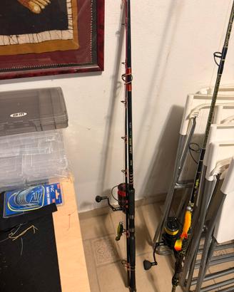 Canna da pesca completa con mulinello e trecciato