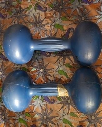 Lotto Manubri Palestra (Panatta 5kg + Fitness 3kg)