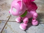 Immagine 2