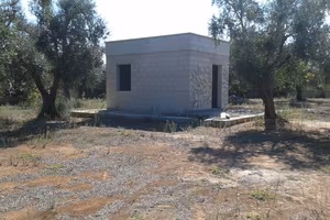 TERRENO CON RUSTICO VICINO AL MARE 