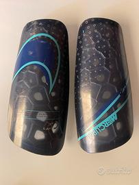 Parastinchi Mercurial