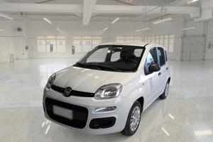 FIAT PANDA 1.2 69 CV SES E6D-TEMP EASY 5 PORTE BER