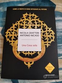 come le mafie si sono integrate al potere