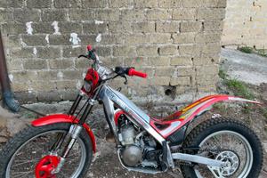 Gas gas contact 250 tx