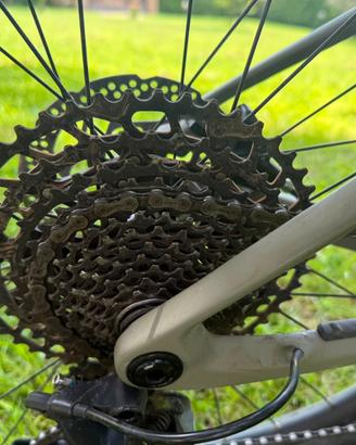 orbea alma m50 eagle