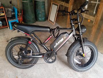 bici elettrica 