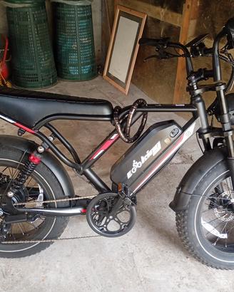 bici elettrica 