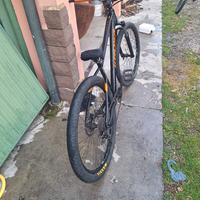 wheelie bike prezzo molto trattabile 