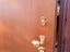 Immagine 1