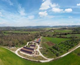 Umbria Podere di Pregio