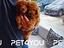 Immagine 16