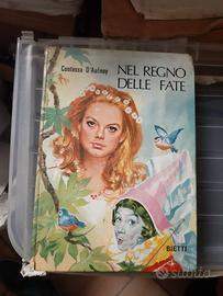 Libro Nel Regno delle Fate.