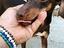 Immagine 1