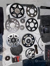 corone/pignoni  kawasaki, suzuki