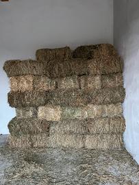 Ballette di erba medica e fieno