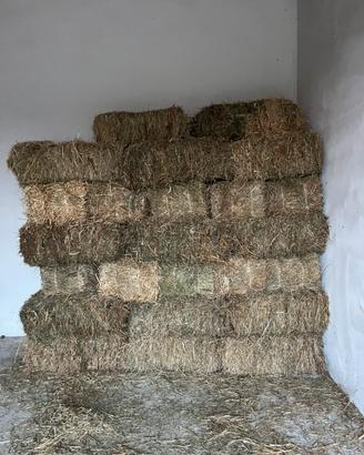 Ballette di erba medica e fieno