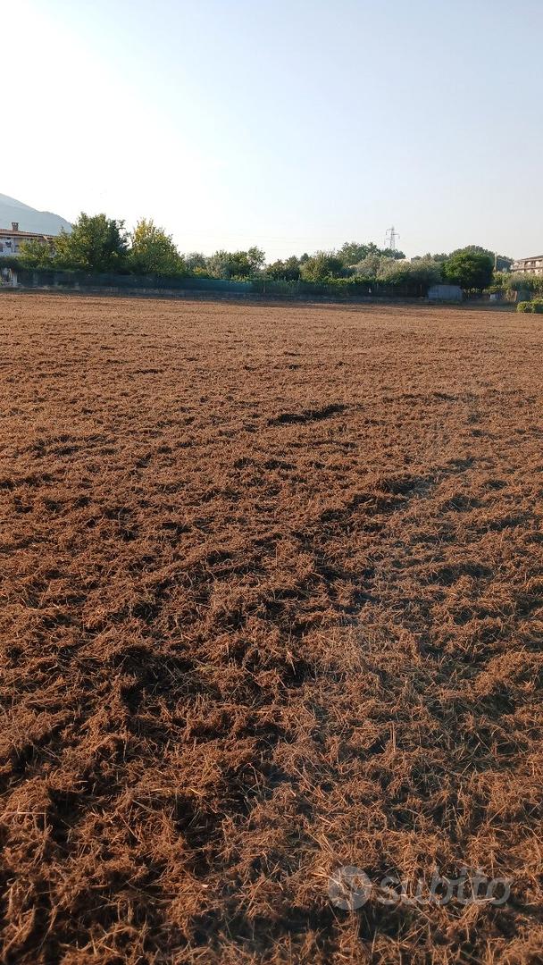 Terreno Sant'Elia Fiumerap.(FR) x AUTOGRILL - Altro
