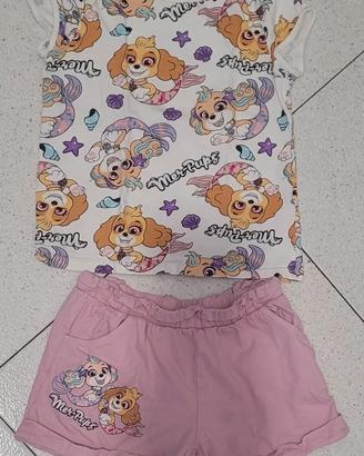 Completino paw patrol