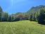 Immagine 29