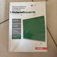 Libro Matematica.verde 1