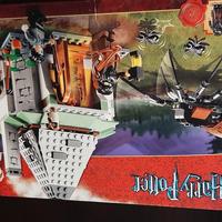 LEGO Harry Potter La Capanna di Hagrid 4738