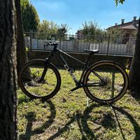 Cube Reaction C:62 PRO 2023