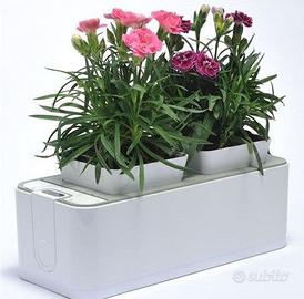 Serra idroponica led